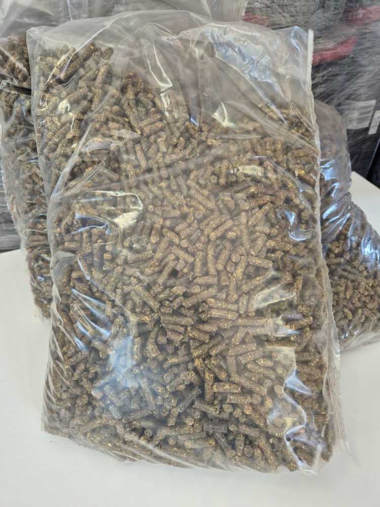 Lucerna granulowana - obrazek 2