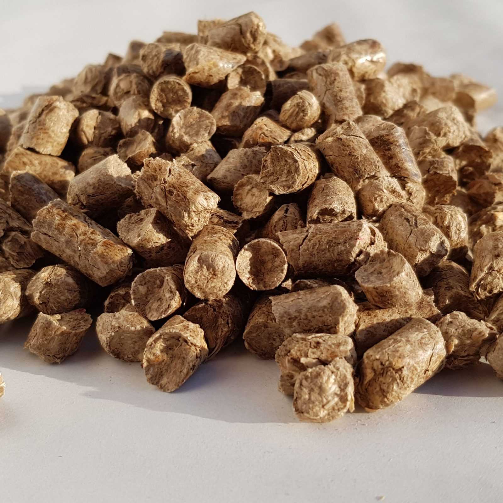 Pellet z miskanta olbrzymiego – ściółka dla zwierząt - obrazek 2